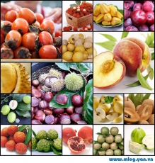 16 loại trái cây ăn nhiều dễ bị nổi mụn!